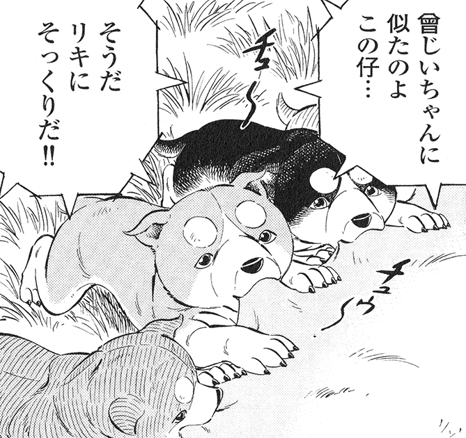 Sirius/Gallery Ginga Wiki Fandom