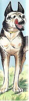 Scan00087