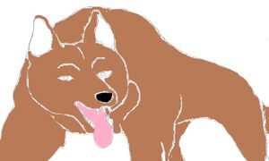 Drew