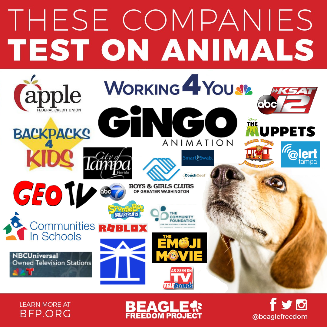 Image These Companies Test on Animals.png Gingo Wiki FANDOM