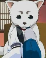 Sadaharu Gintama Wiki Fandom Powered By Wikia