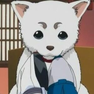 Wallpaper Sadaharu Gintama Wiki Fandom HD