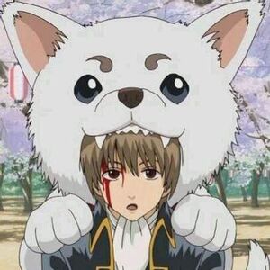 Wallpaper Sadaharu Gintama Wiki Fandom For iPhone