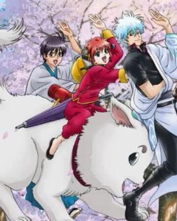 Wallpaper Yorozuya Gin Chan Gintama Wiki Fandom For Android Free