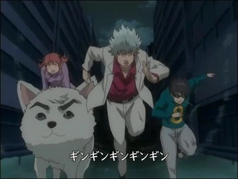 Gintaman Gintama Wiki Fandom