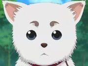 Sadaharu mug