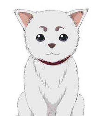 Sadaharu Gintama Wiki Fandom Sadaharu Gintama Wiki Fandom