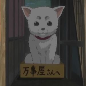 Sadaharu Gintama Wiki Fandom Sadaharu Gintama Wiki Fandom