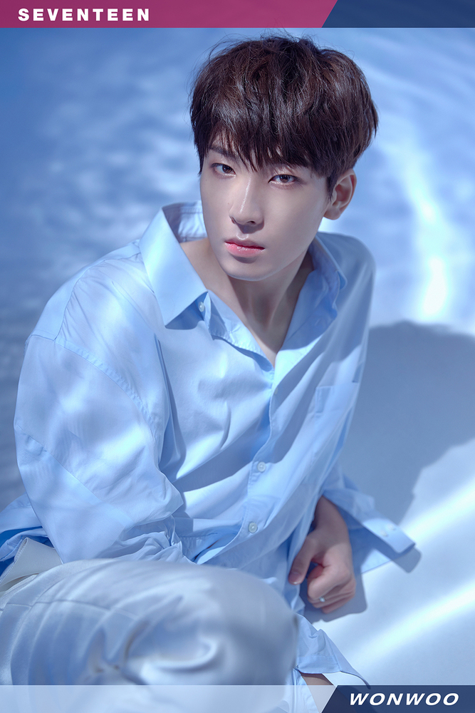 Wonwoo | Seventeen Wiki | FANDOM powered by Wikia