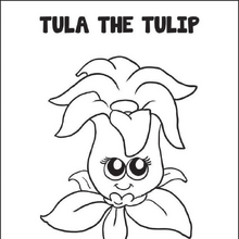 tula tulip