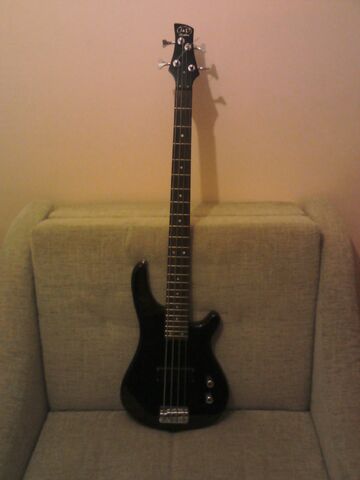 Plik:Gitara basowa.jpg