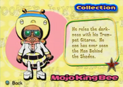 Mojo King Bee Collection