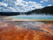 Miracle Pools