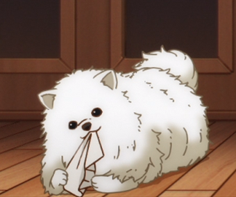 User Blog Dragonkestrel Kedama Or Another Pom Given Wiki Fandom