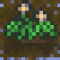 Potatomature