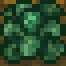 Broccolimature