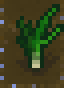 Leekmature