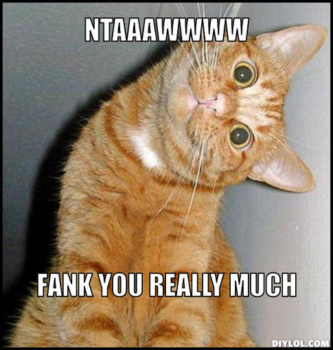 image thank you cat meme generator ntaaawwww fank you really much