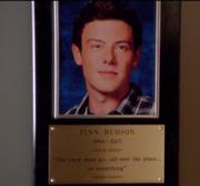 Finn placa