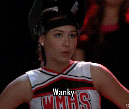 Image result for wanky glee