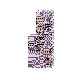 MissingNo.