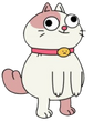 Cat(BGDCMC)Transparentpic