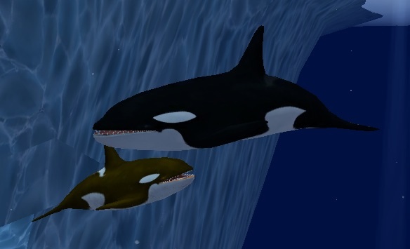 Free Orca Games Free Orca Games