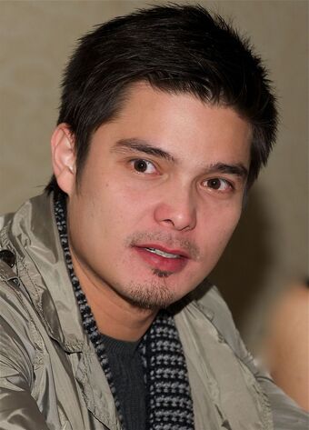 Dingdong Dantes Gma Network Wiki Fandom