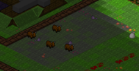 PastureYak