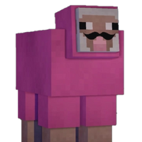 Pink Sheep Goanipedia Fandom
