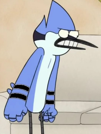 Mordecai (Regular Show) | GoAnipedia | FANDOM powered by Wikia
