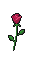 Prop Rose Sprite