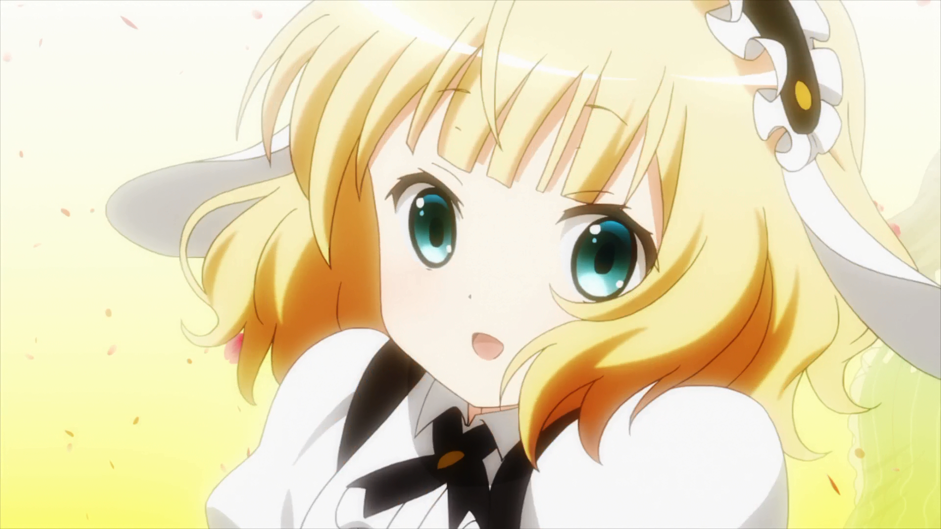 Syaro Kirima Is The Order A Rabbit Wiki Fandom