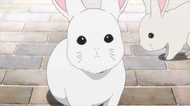File:Rabbit.png