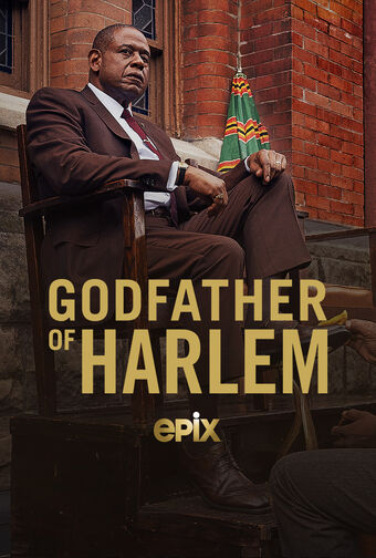 Image result for the godfather of harlem epix