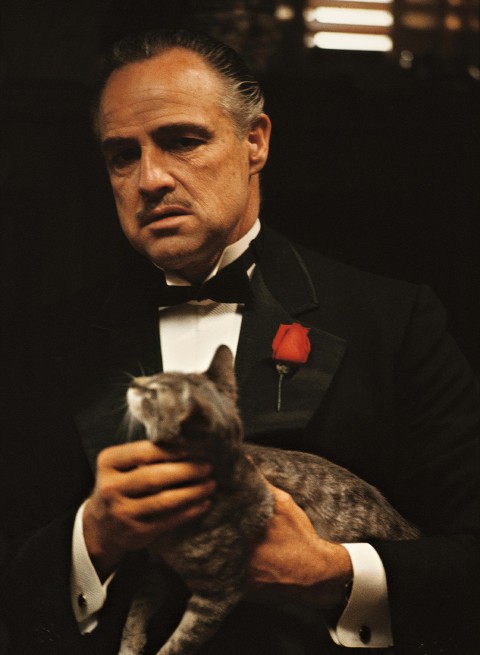 Image result for don corleone