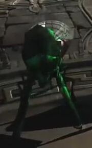 Megeara's bug