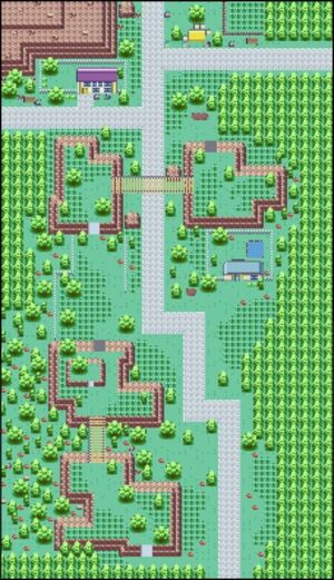 Route 16 overview map