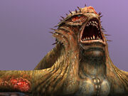 Kraken