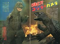 Godzilla vs. Gamera