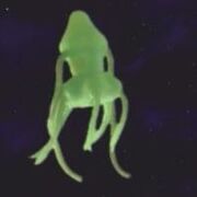 Dogora2