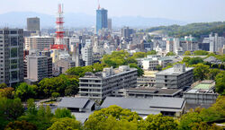 D-KUMAMOTO10