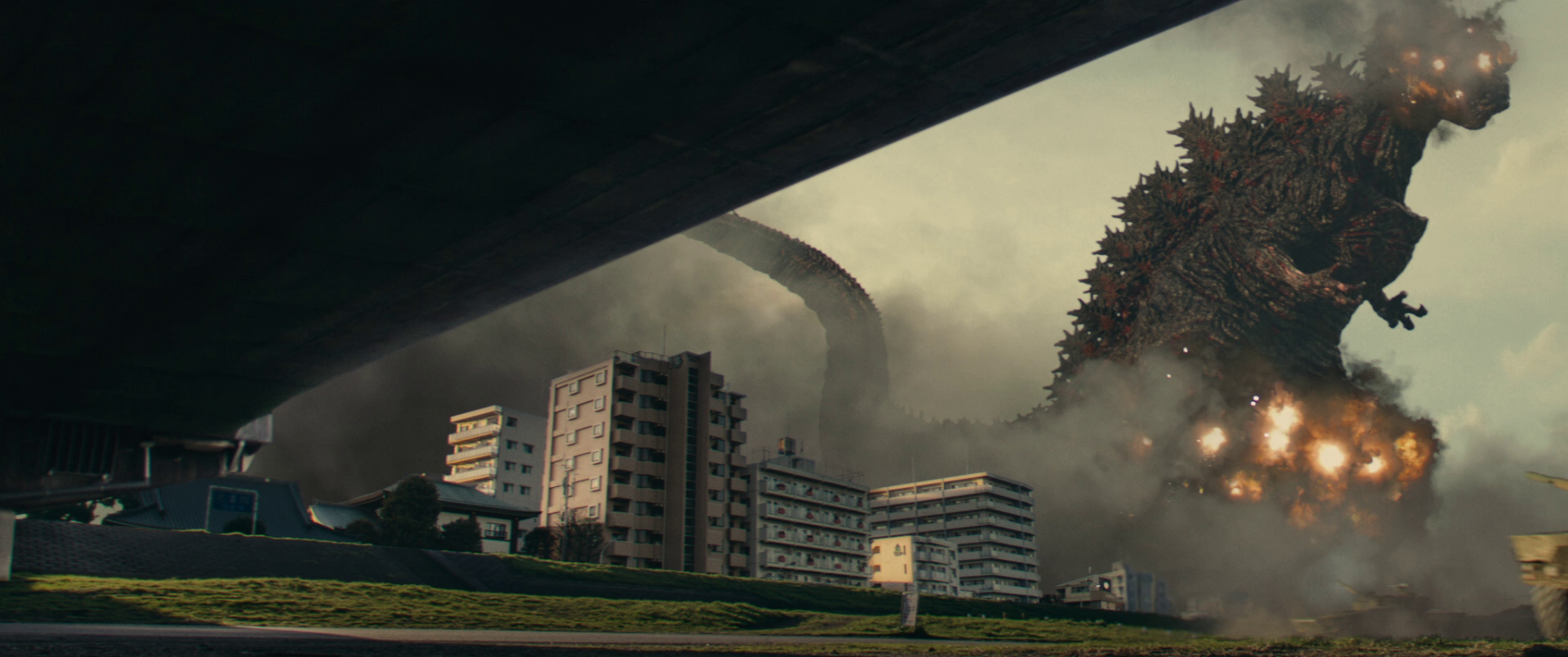 Image - Shin Godzilla (2016 film) - 00090.png | Gojipedia | FANDOM ...