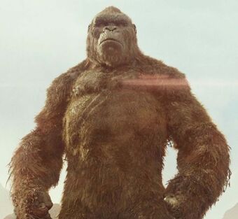 King Kong Monsterverse Gojipedia Fandom