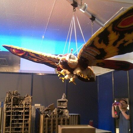Mothra Rom Gallery Gojipedia Fandom
