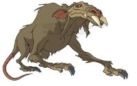 Gigantische Ratte1