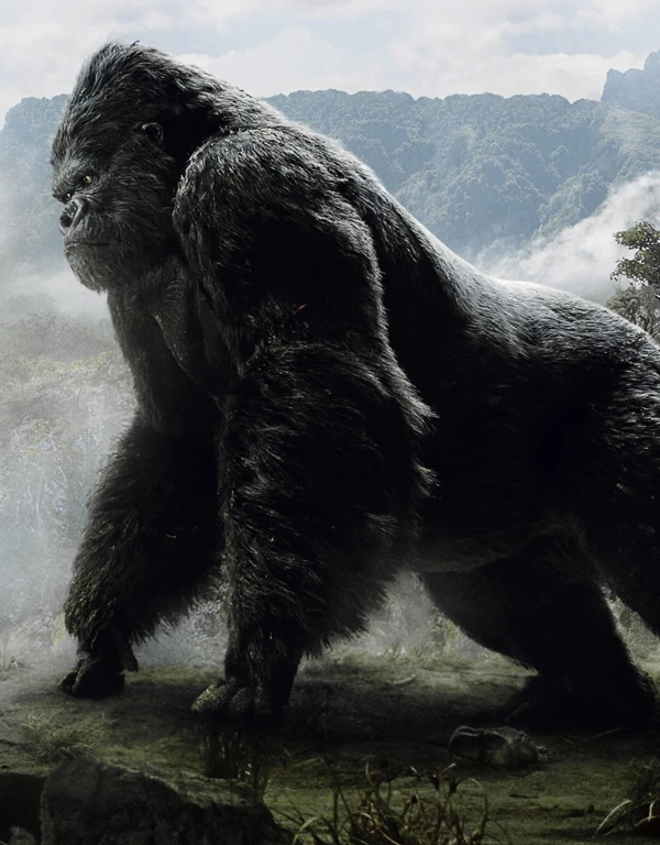 King kong разъемы