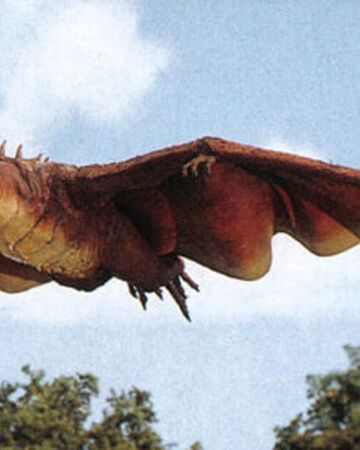 Rodan Godzilla Viki Fandom