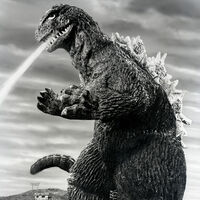 Godzilla (1962) - Infobox