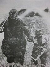 MusukoGojiSohn